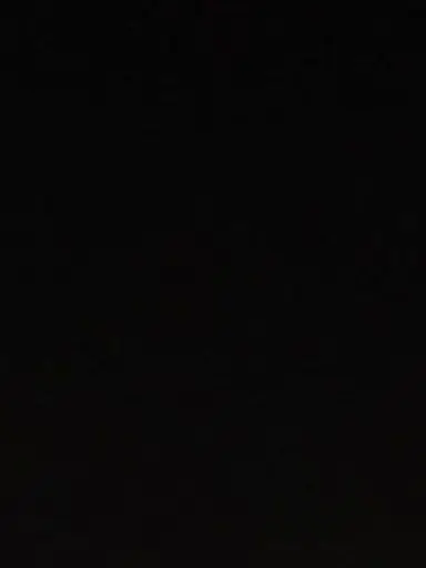 snower의 동네 도둑 고양이 길들이기