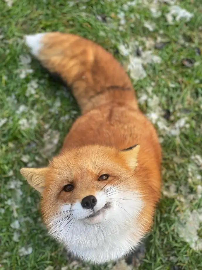 VividCliff6352의 야미야미