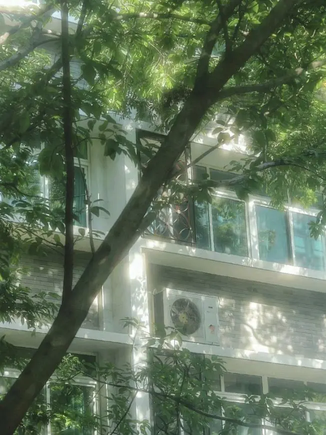 silvercherryblossom의 𝓕𝓻𝓮𝓮𝓭𝓸𝓶