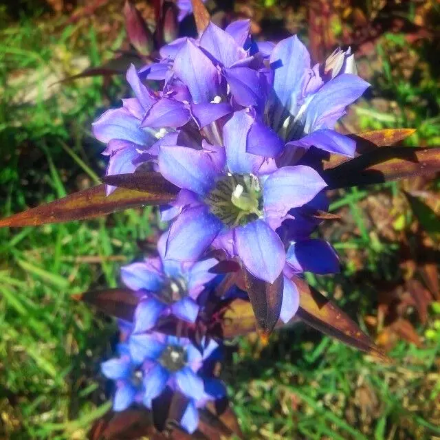 Gya_b의 남친이 나 취해는데 밀치고 노라...