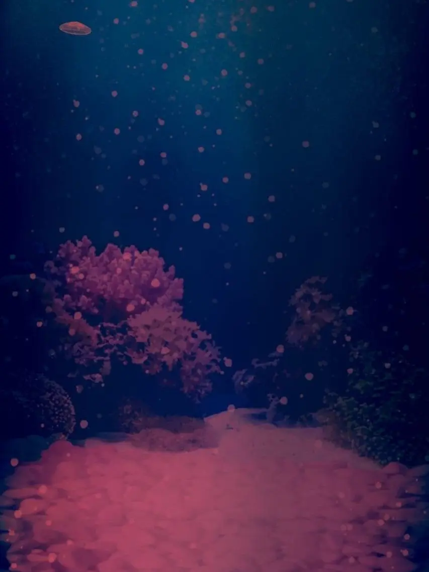 BrassyDodo4298의 〇〇しないと出られない部屋…王様ゲーム版