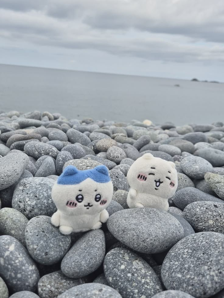 白烏 대표 이미지
