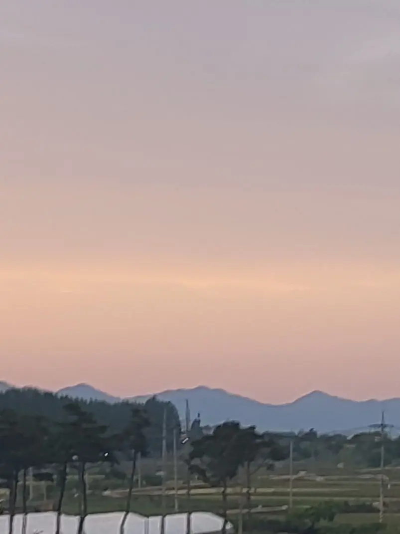 llllllllllllk의 유튜버고등학교, 대학교+여우