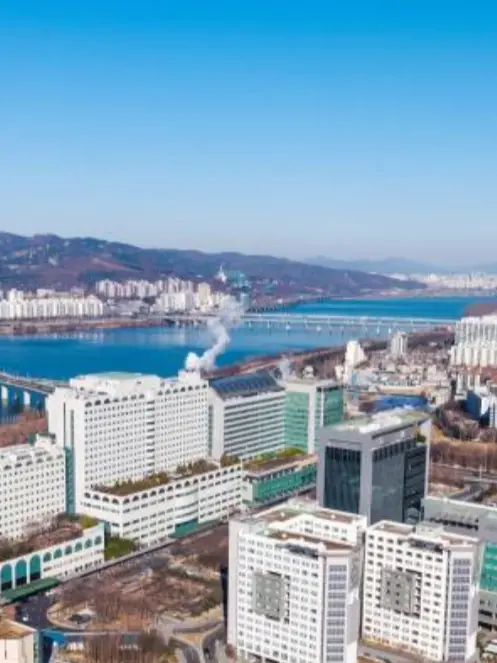 PotentPlain2099의 Seoul General OB/GYN