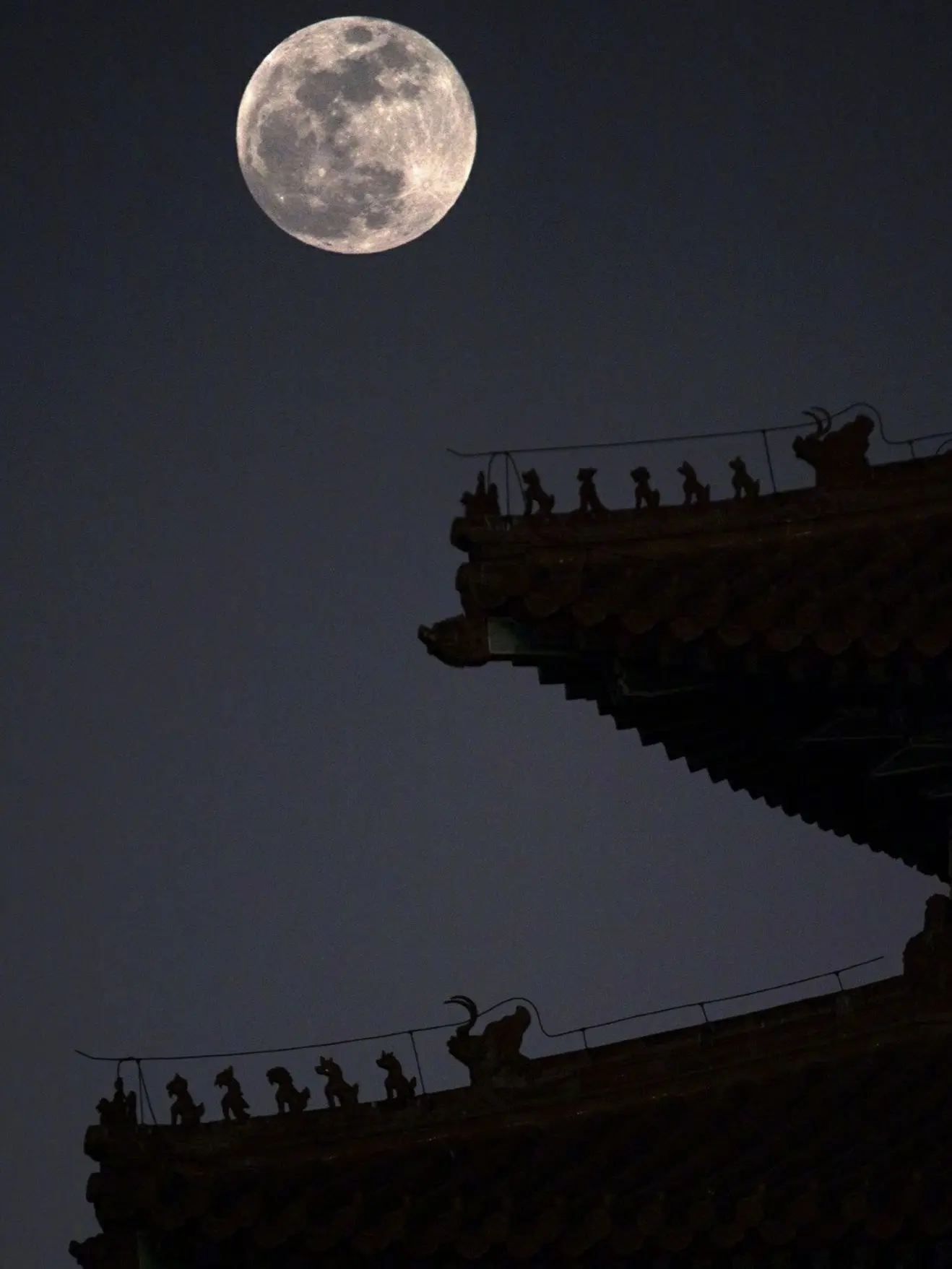 mui_rin의 좋아해좋아해좋아해좋아해좋아해좋아해좋아