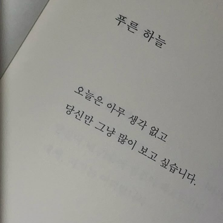 이채영 대표 이미지