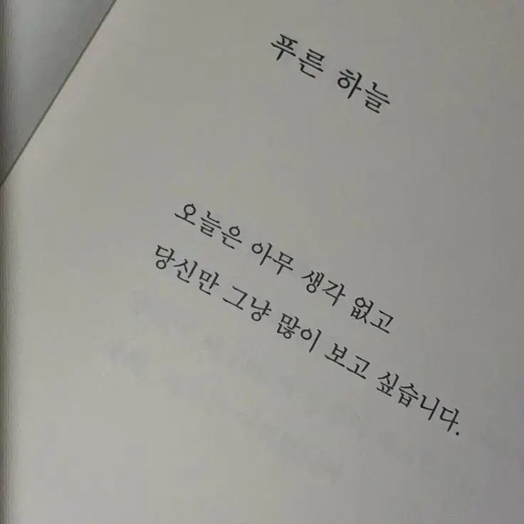 Kang_Seunghwan의 이채영