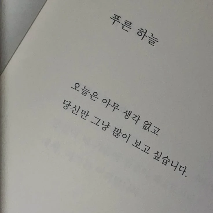 이채영