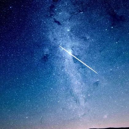 VioletStem9414의 이세돌 (반전매력 2)