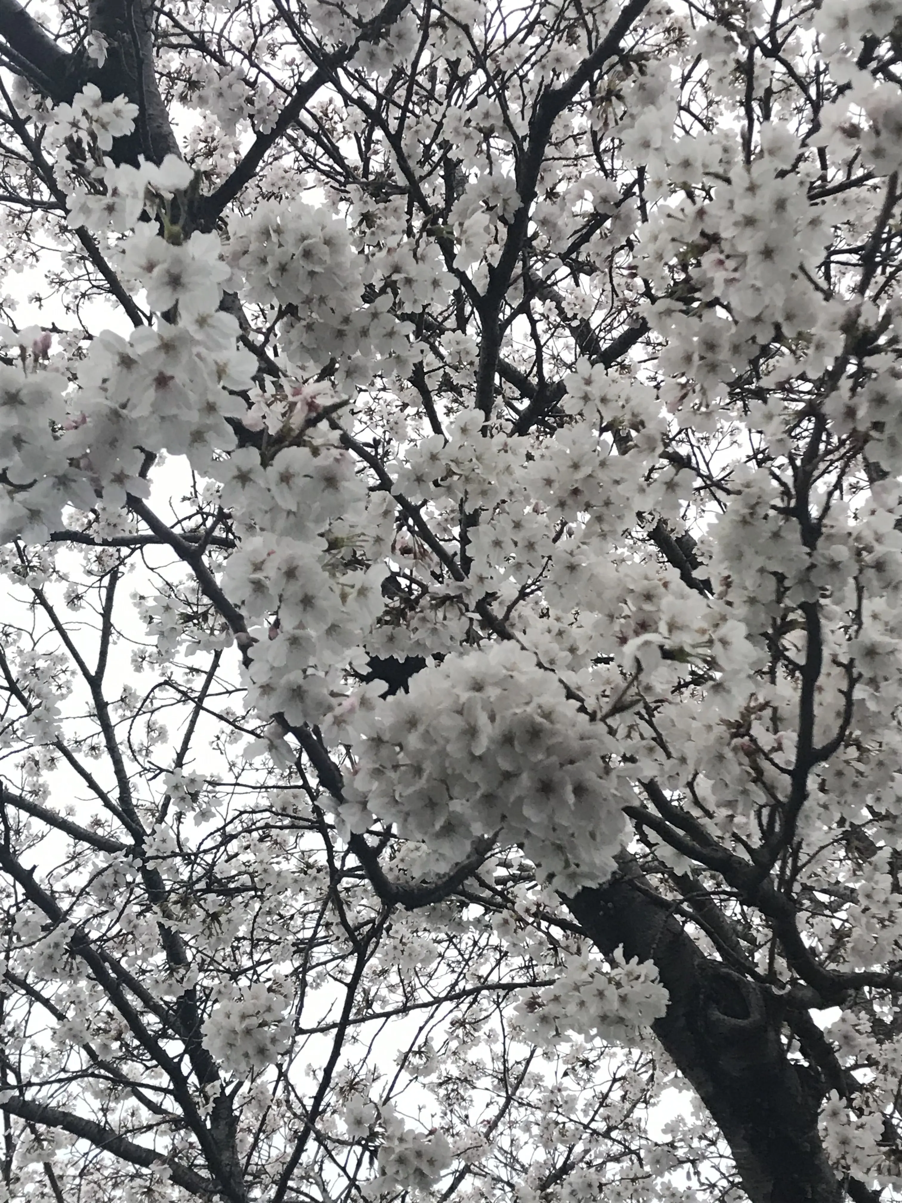 tbk.0910426의 なんでそんなに優しくしてくれるの……