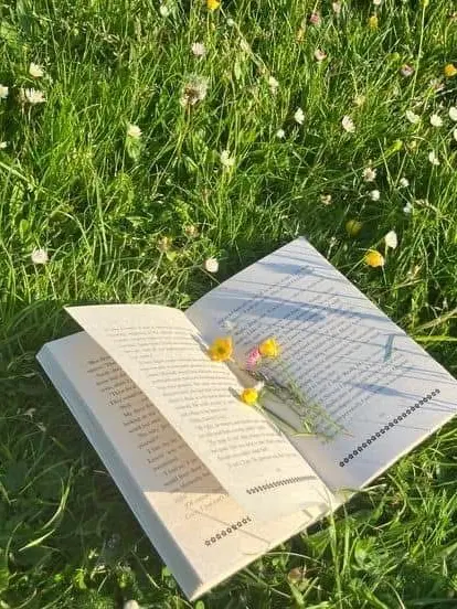 IYT의 꽥꽥탐험대 / 대학교