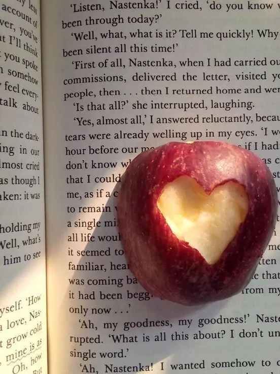 plane_coordinates의 다섯 난쟁이