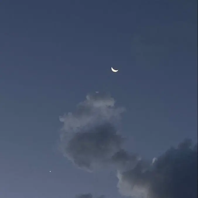 209699의 아,누나!다치지 말라니까..