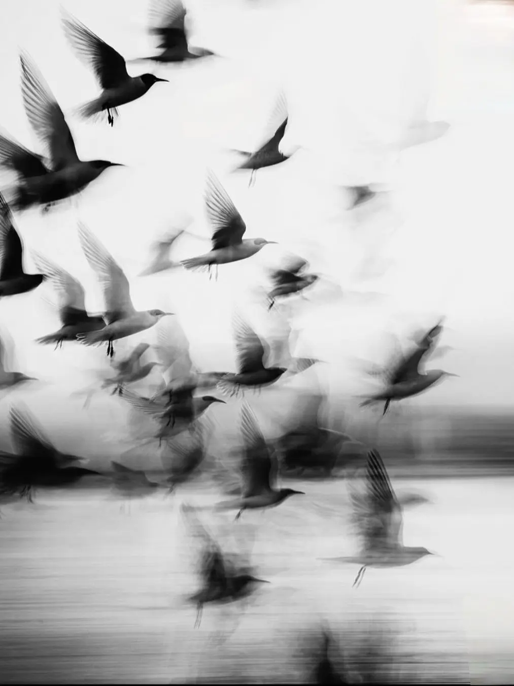 MaleVise3315의 말여지하