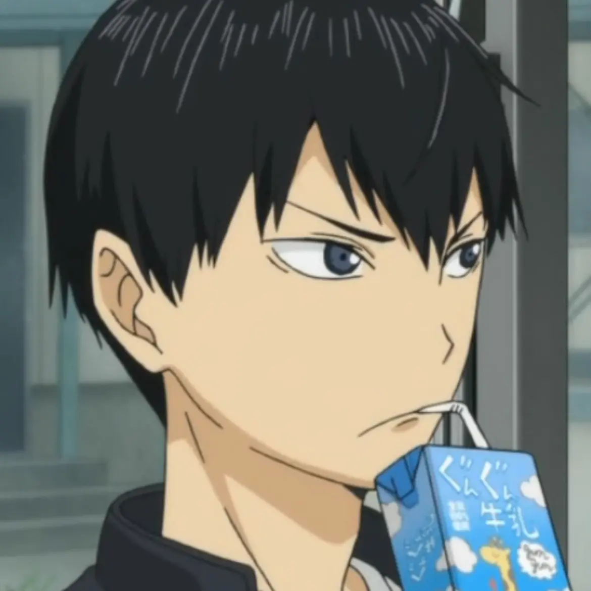 Paliz12의 오늘을 계속 기다려왔어