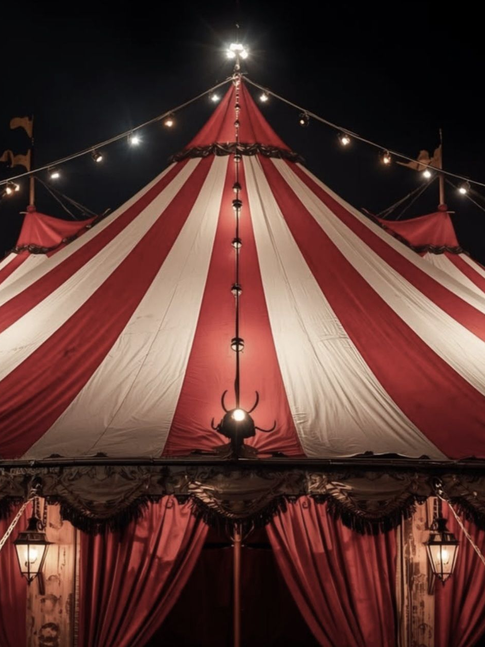 벨키의 서커스🎪 대표 이미지