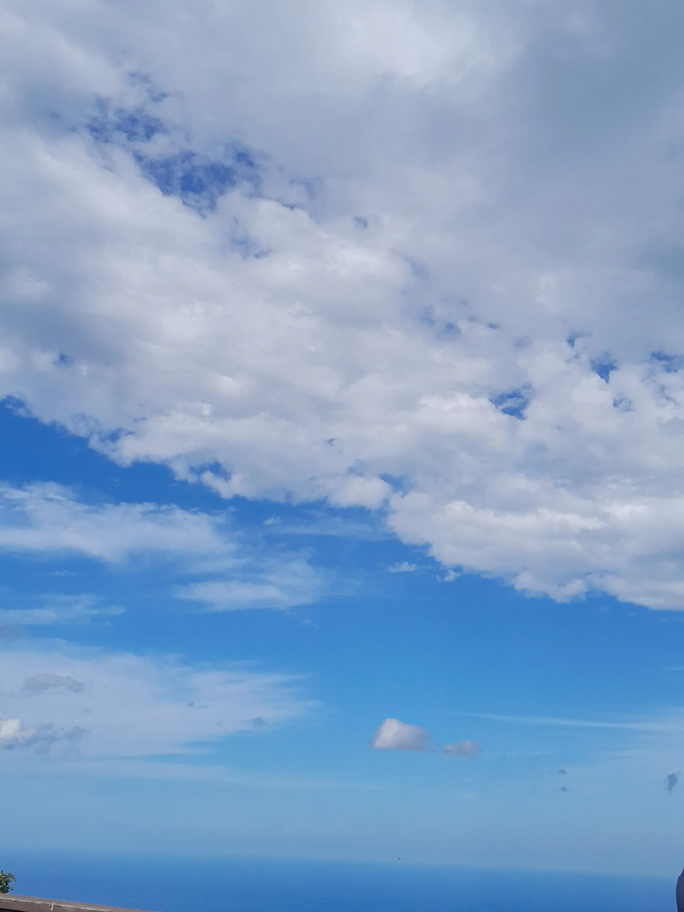 EggyIbis1724의 무용수들의 이야기