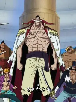 ConfusedCrow의 Whitebeard Pirates
