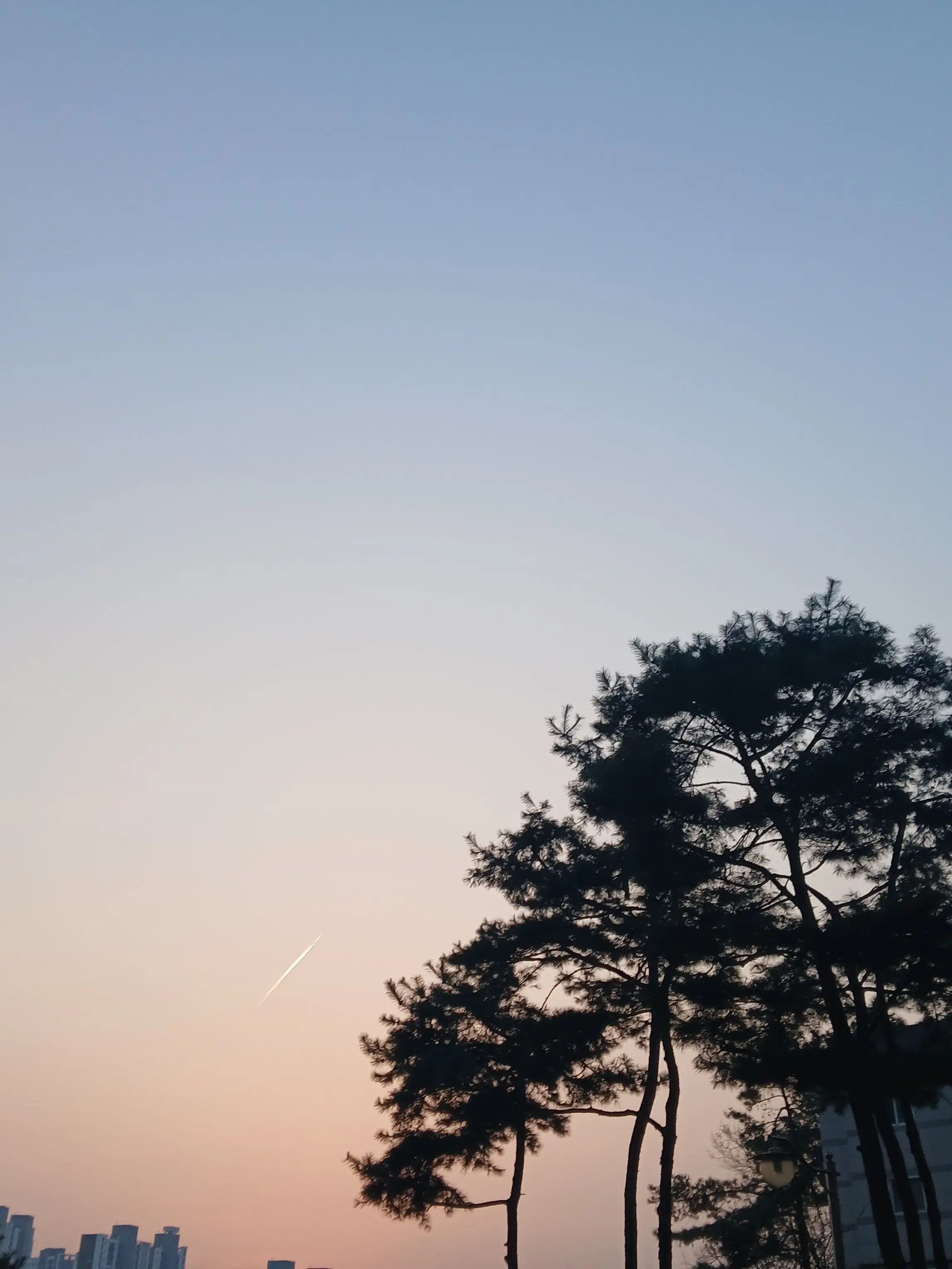 Kim_resin의 눈 색이 등급 (포세이큰 + 여우)