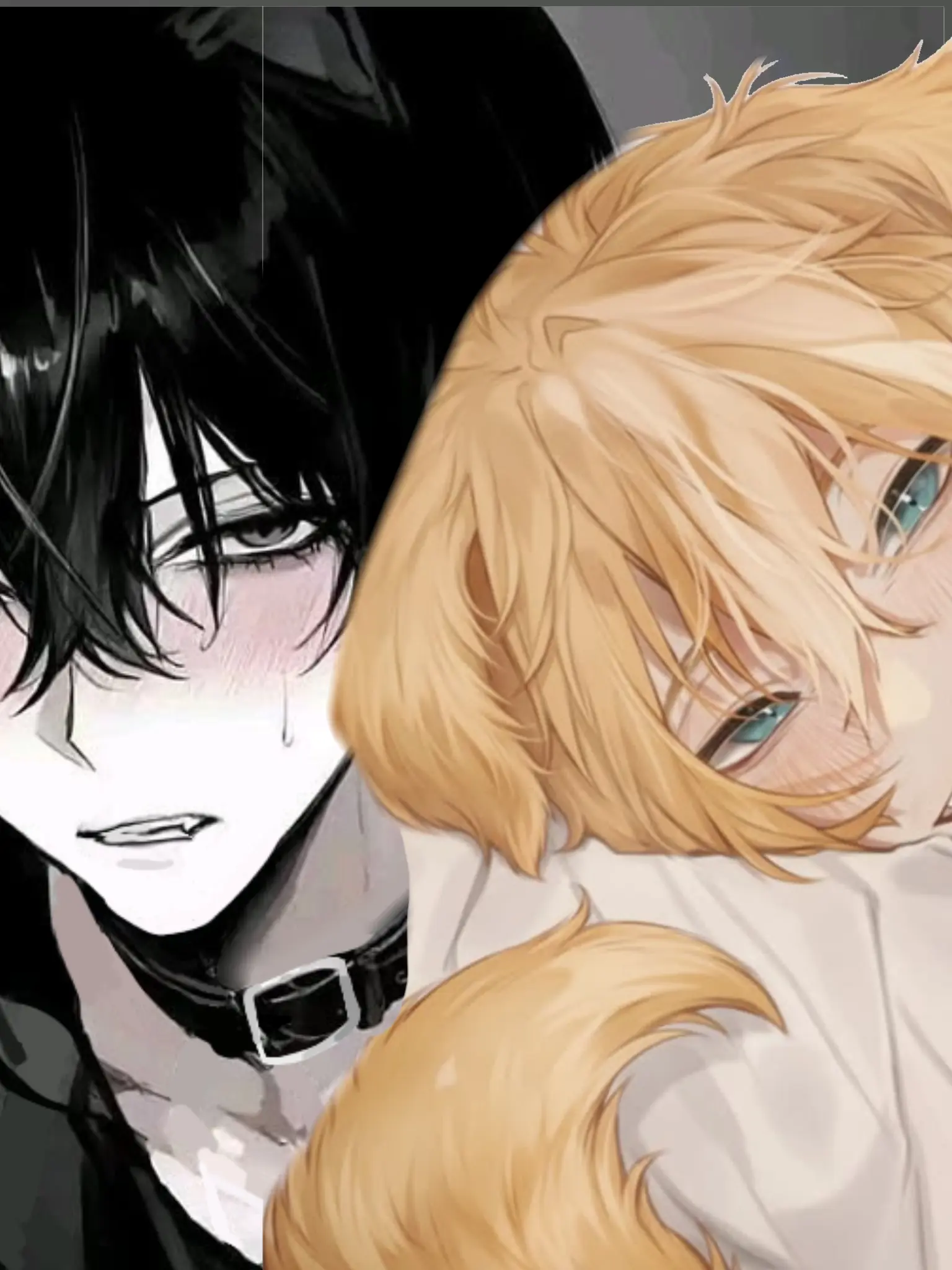 MeLiekBurg의 HYBRID ROOMMATES