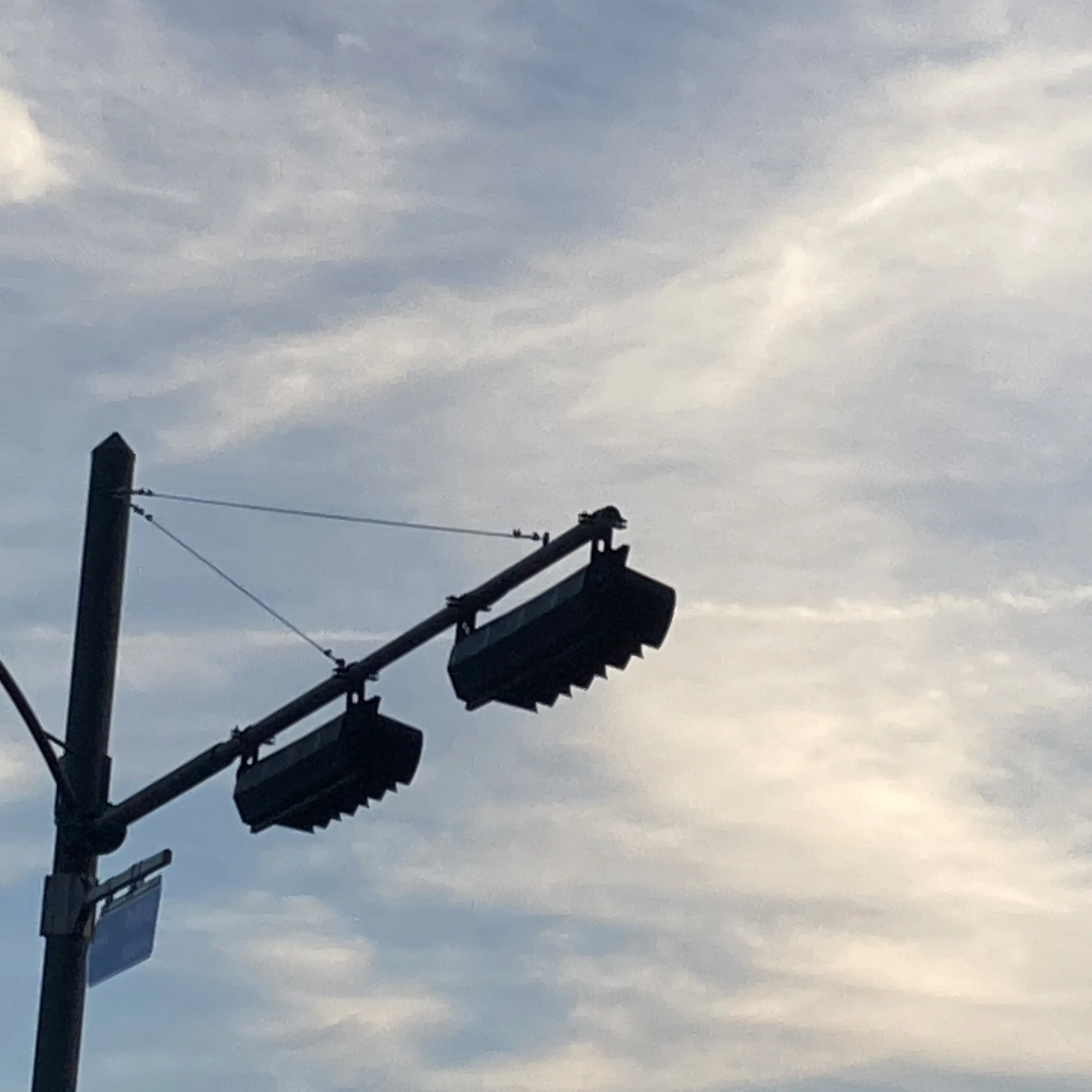 LiveSign0819의 미스터리 수사반