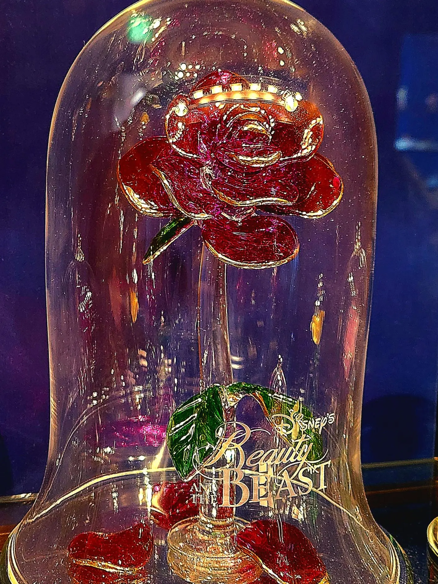 LeanerStudy6642의 수위가 심각하게 높을수도