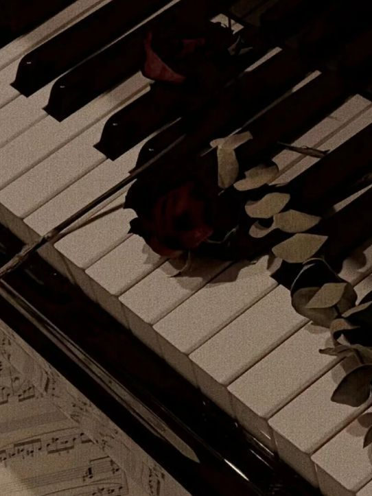 🎹 私には苦痛しかありません。 대표 이미지