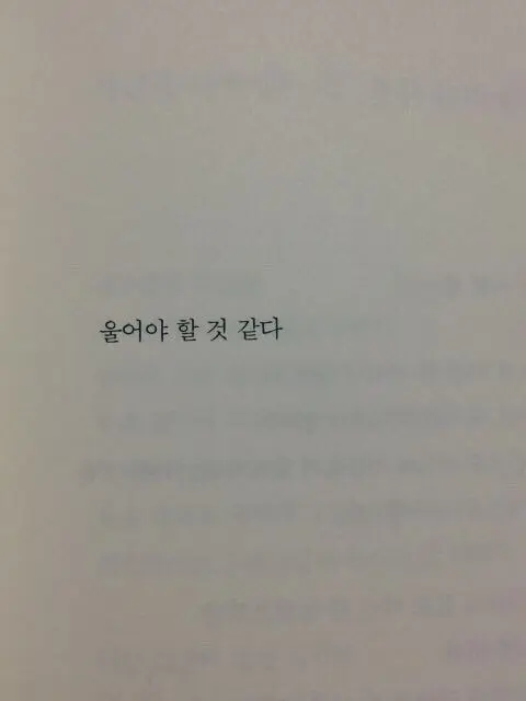 MereTea1228의 개인용