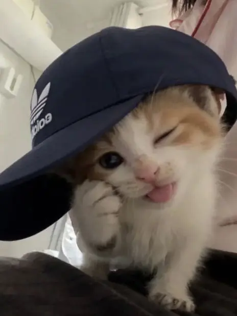 Wthwt의 개인용.