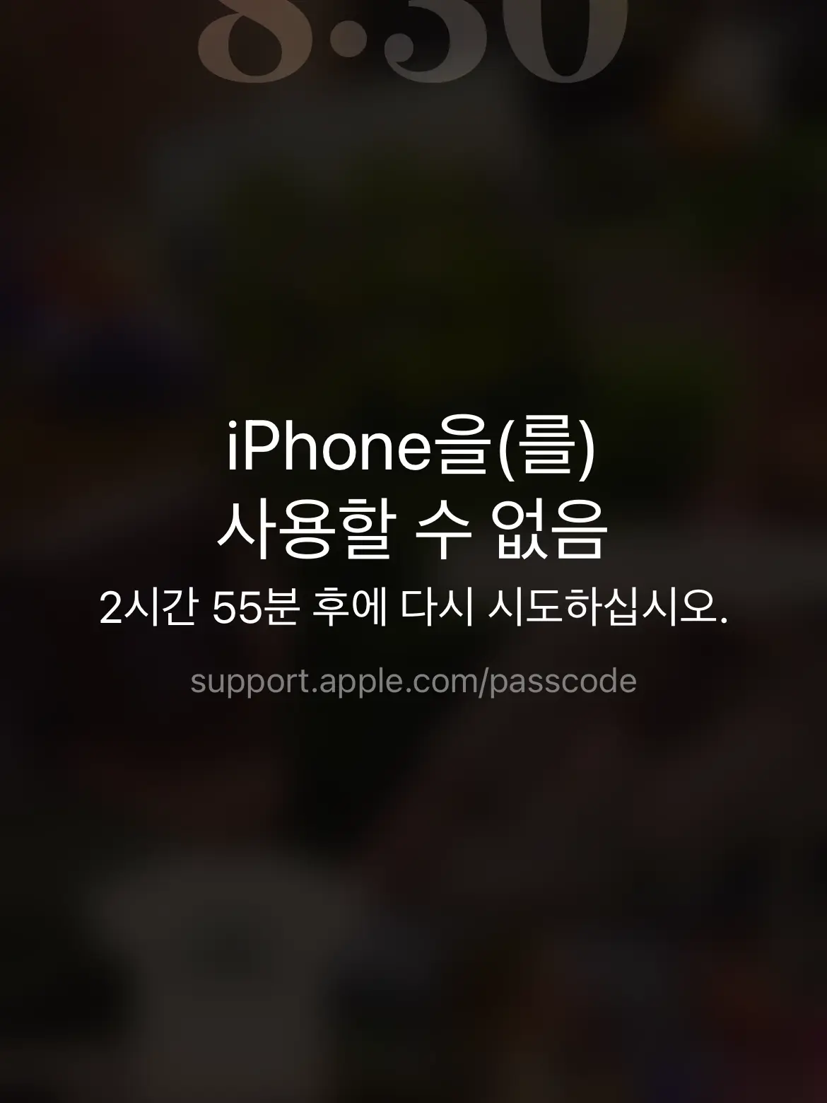 H1_.tn2의 幻影旅団