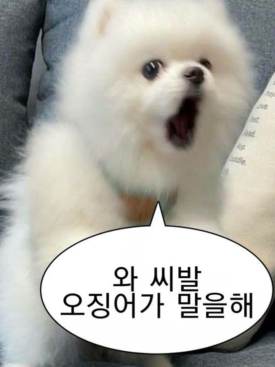 자캐 FPE쌤들 대표 이미지