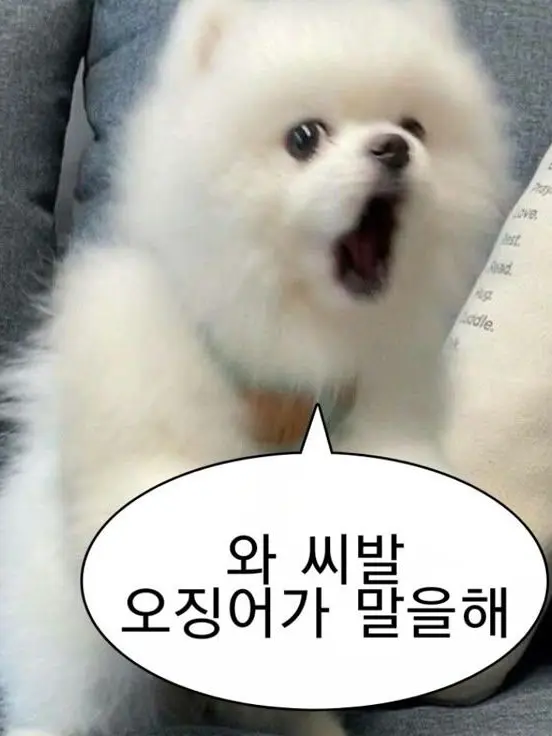 LOVE_YOU_BISI의 자캐 FPE쌤들