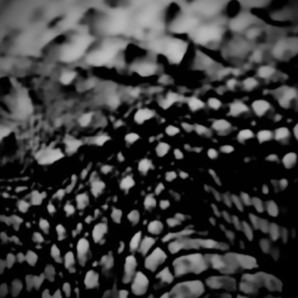 NICKNAME7552의 趙覇天