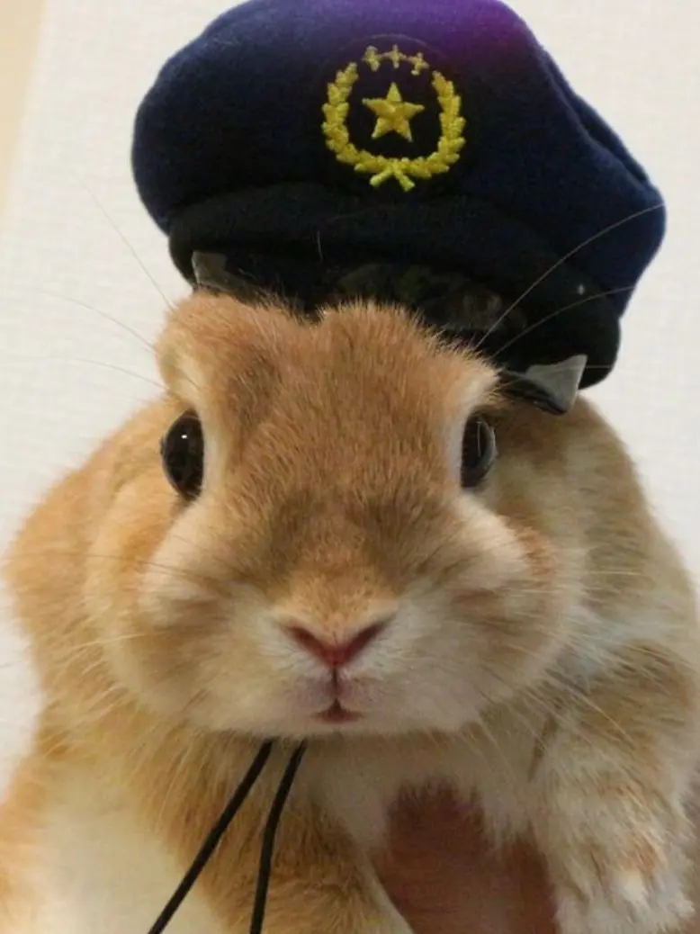 rainy_day.1221의 0107