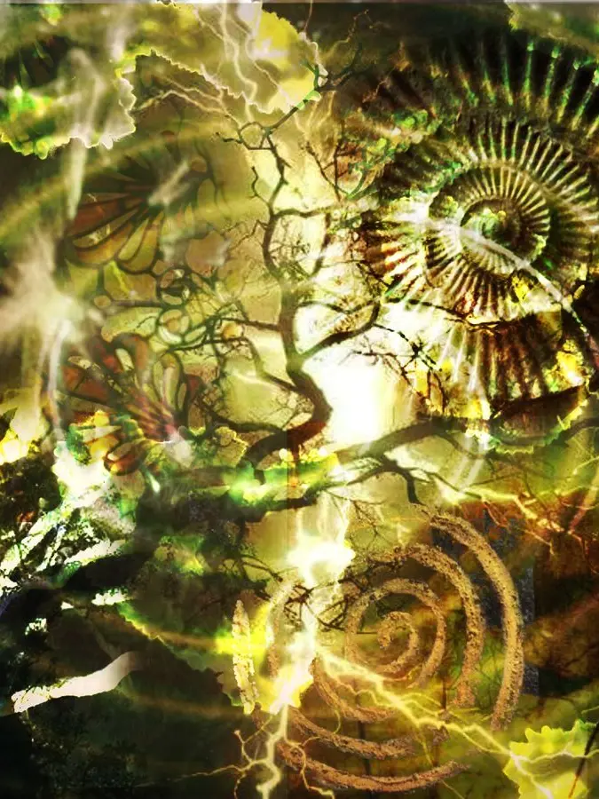 visualize__wuxian의 General Arbiter