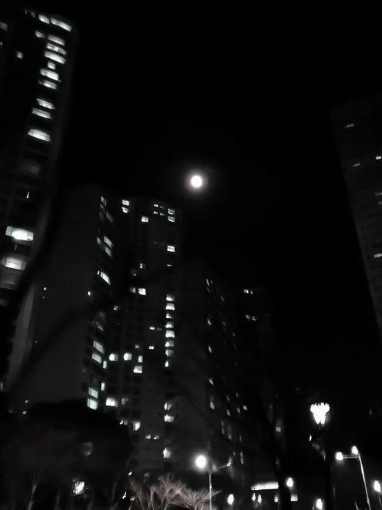 Ituki_367의 충견의 안식처