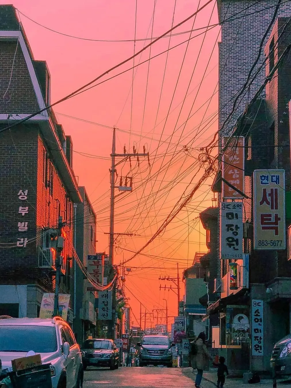 kjw_ddg의 최가온