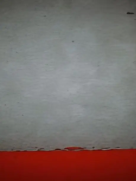 GummyChest3360의 우즈이텐겐의 동생이다