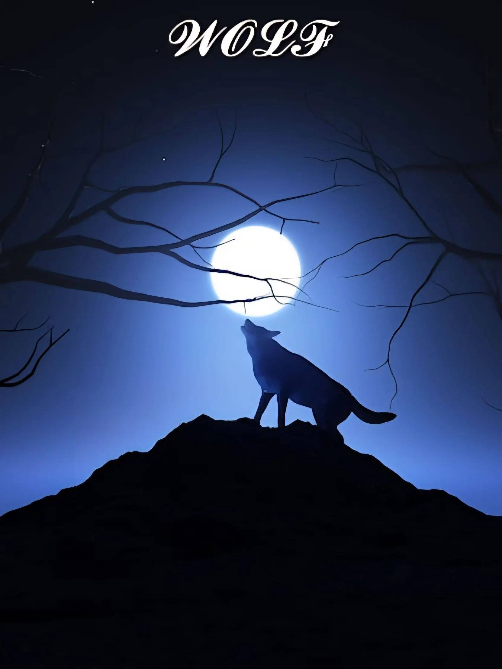 sbbt의 『고요한 산속의 늑대들』