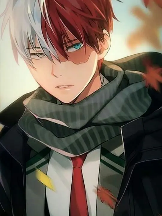 ThatGirlNanali의 Your hero, Shoto.