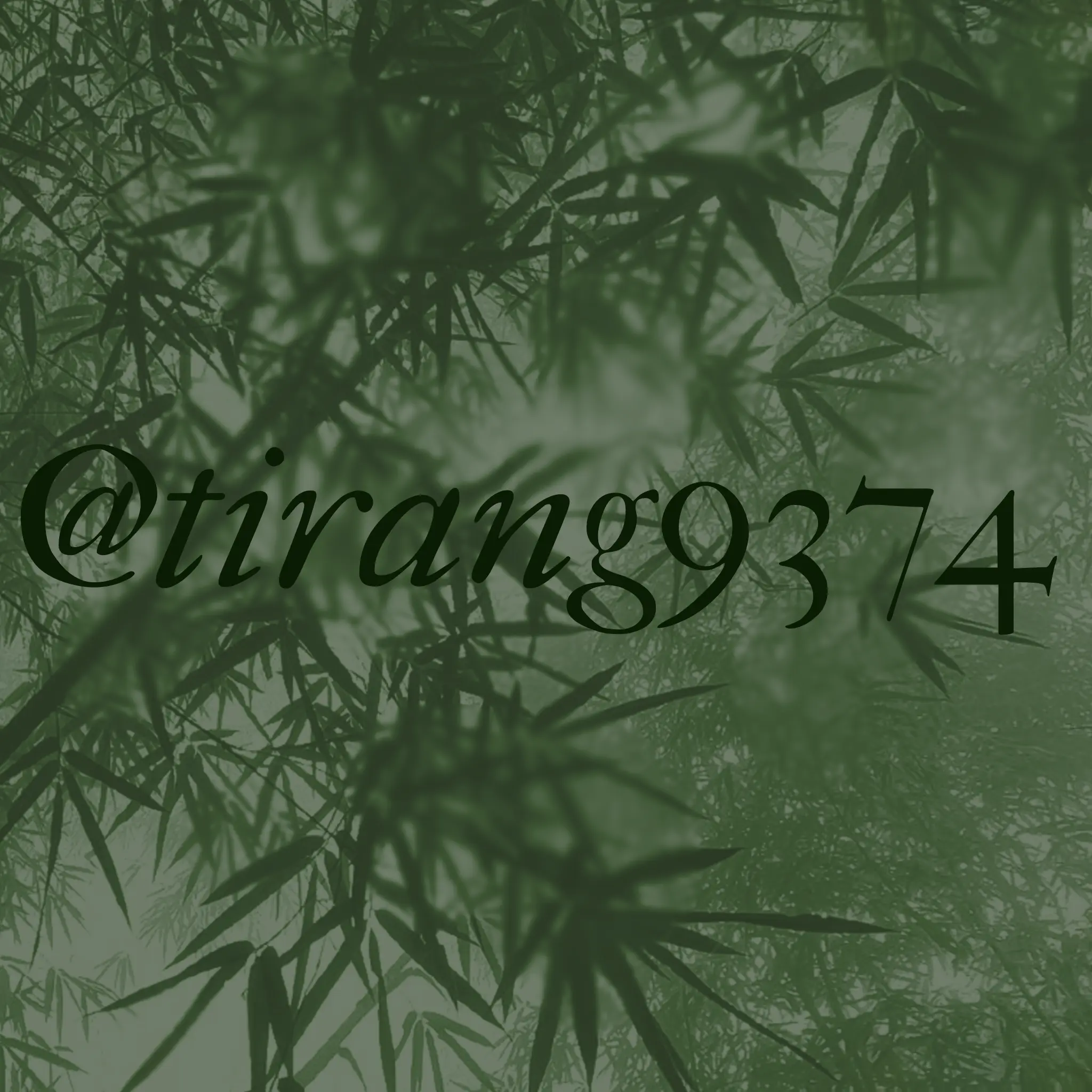 tirang9374의 10142