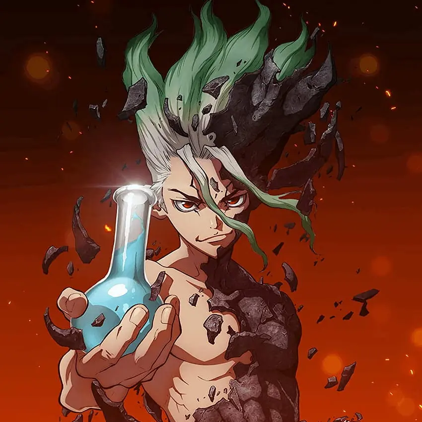 StiffBump8381의 닥터스톤&체인소맨