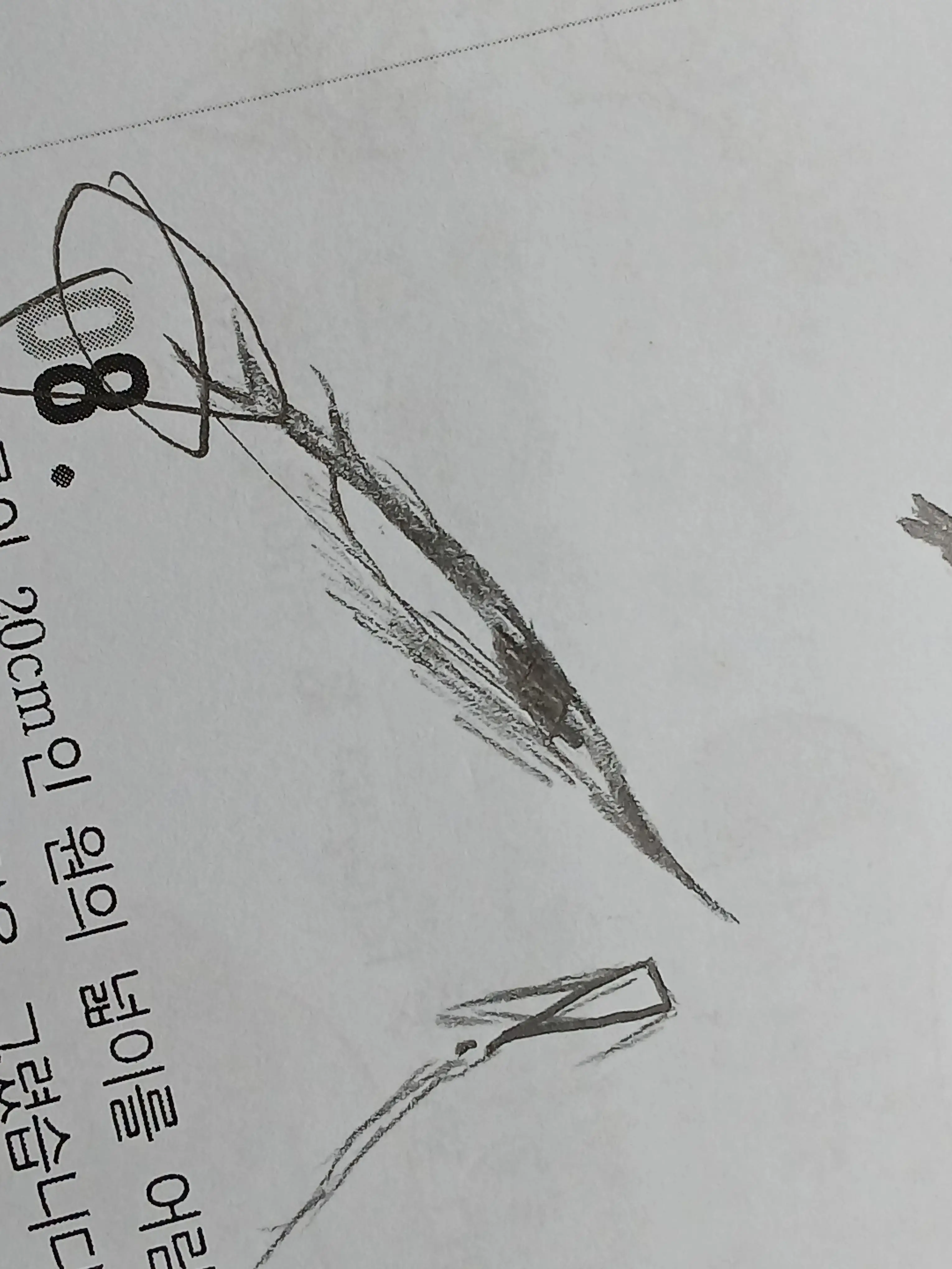 rose136p의 왜 항상 니가 이기니💢