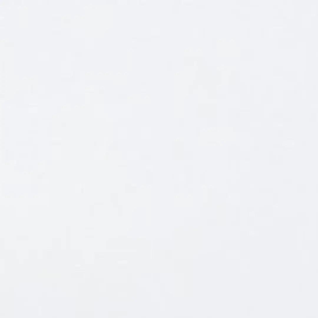 09041204의 한동민