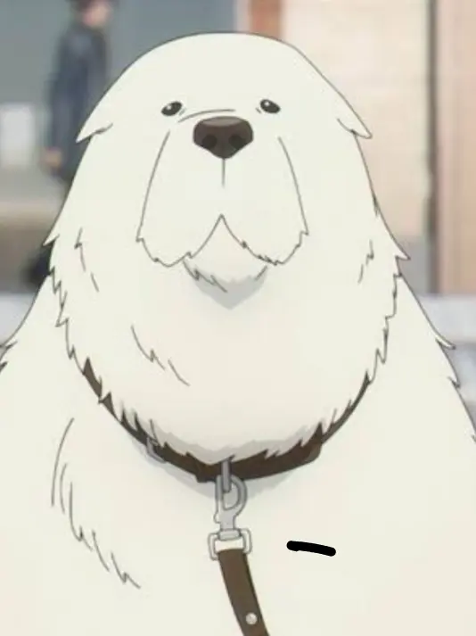 FrugalBaiji0667의 スパファのボンド飼いたい人！