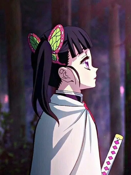 Hosino.kira_Obanai의 🦋 나비자매 🪻 + 여우