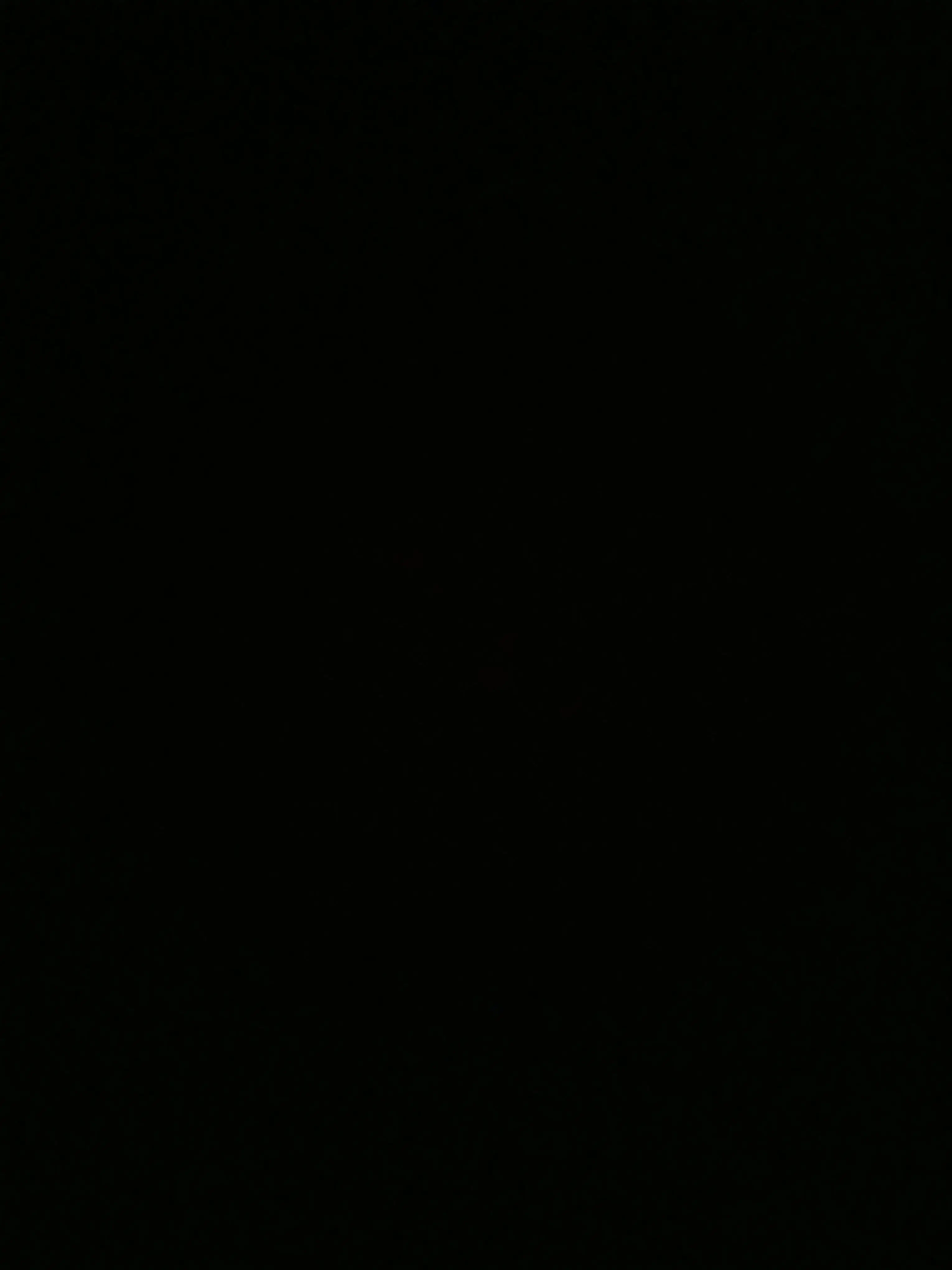 lawnjandi의 같이 동거하는 친구들과 여우