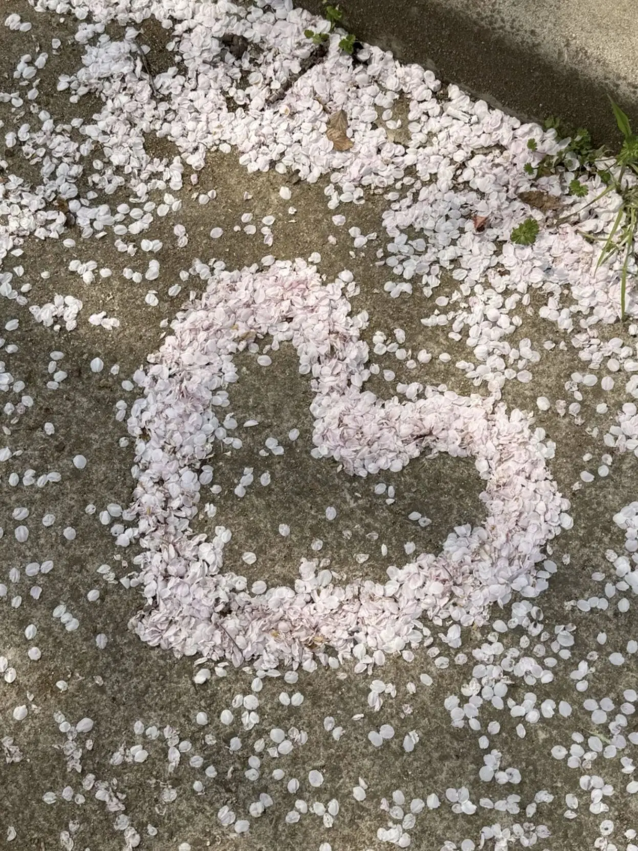 clock_head의 귀찮으니까 공부나 해.