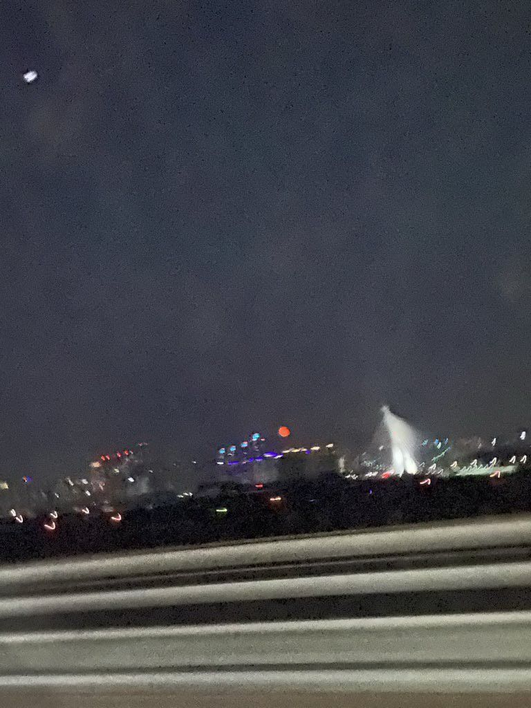 김선우 대표 이미지