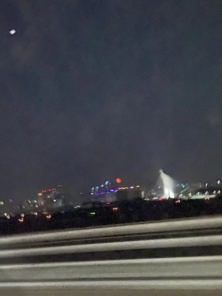 o123412412412의 김선우